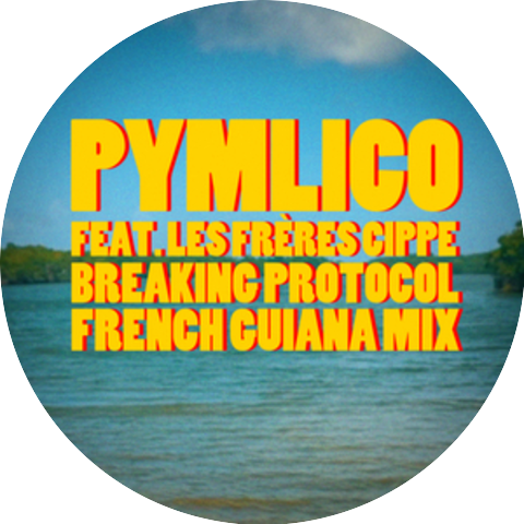 Pymlico