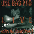 One Bad Pig