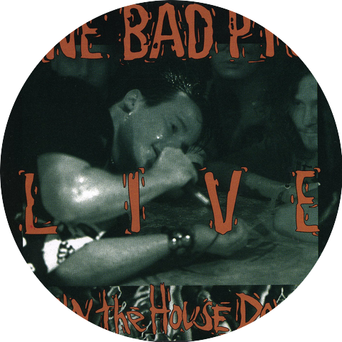 One Bad Pig