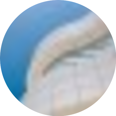 Muleskinner