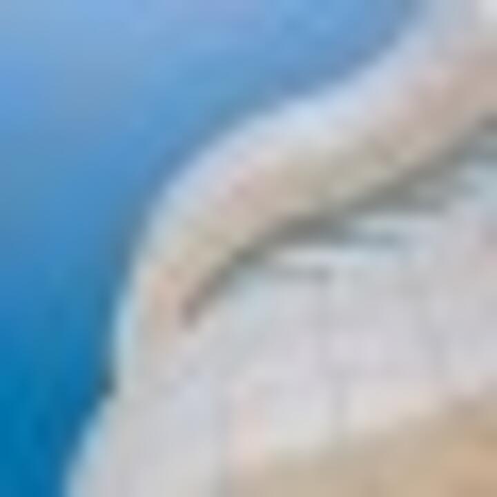 Muleskinner