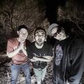 Funkoars