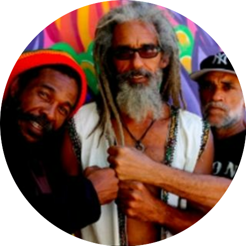 Mystic Revealers