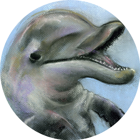 The Singing Dolphin
