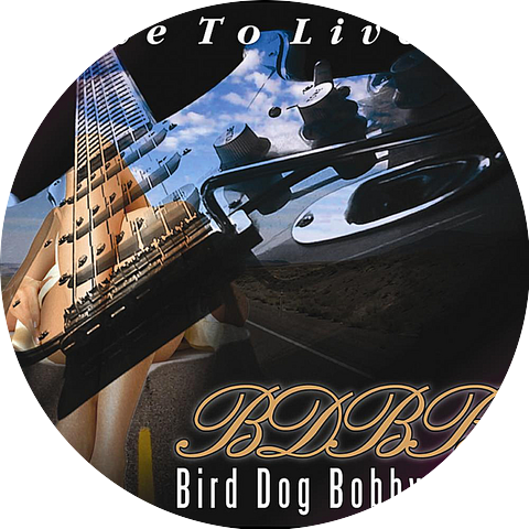 Bird Dog Bobby Band