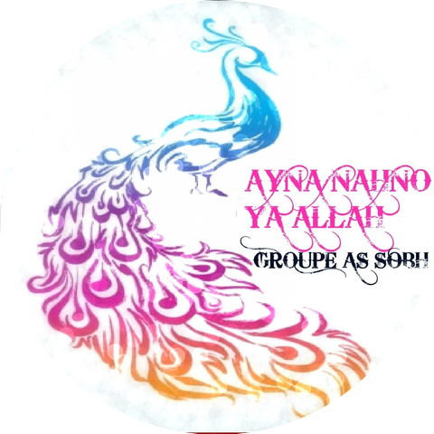 Groupe Sobh