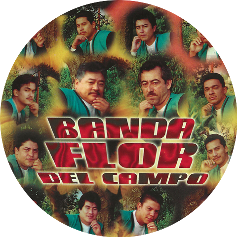 Banda Flor Del Campo