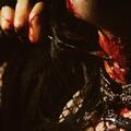 Malice