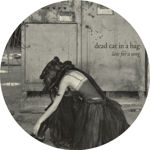 Dead Cat In a Bag