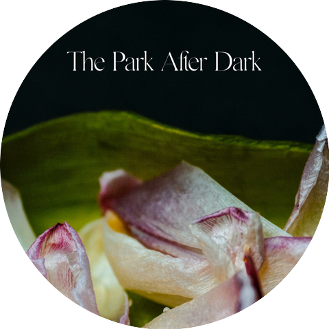 Park After Dark
