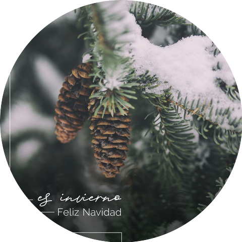 Feliz Navidad