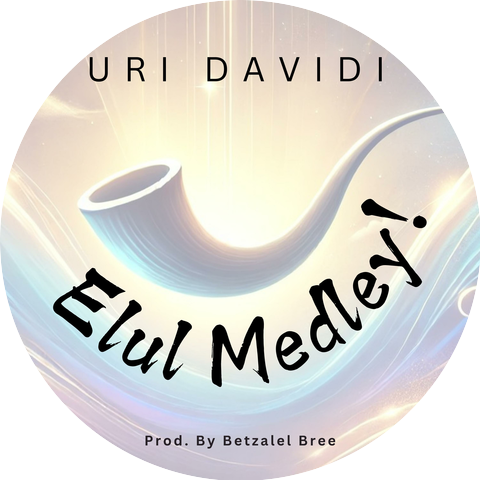 Udi Davidi