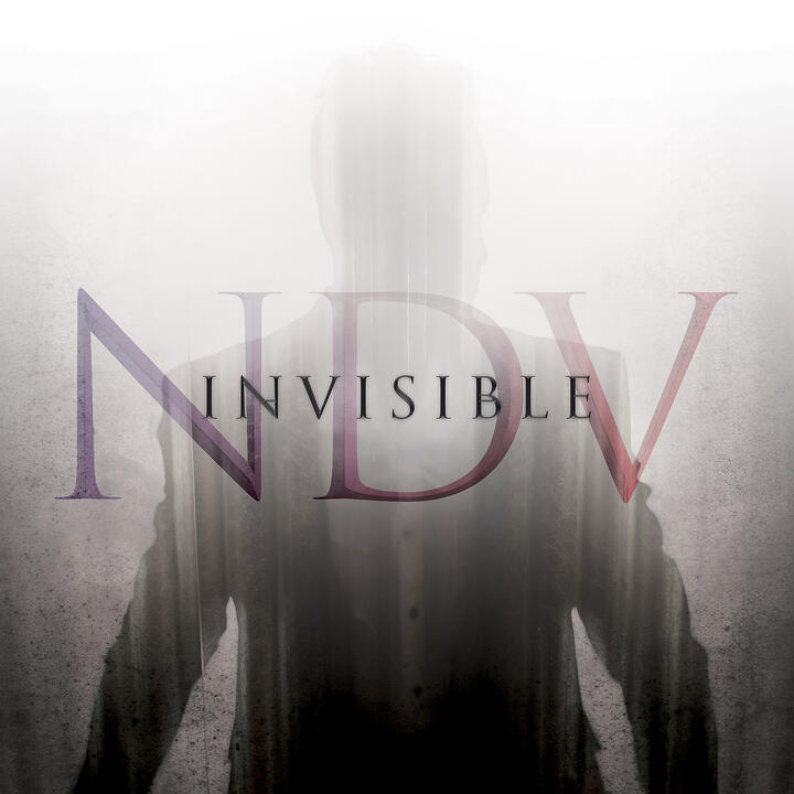 Nick D'Virgilio
