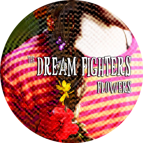 The Dream Fighters