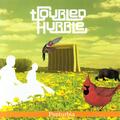 Troubled Hubble