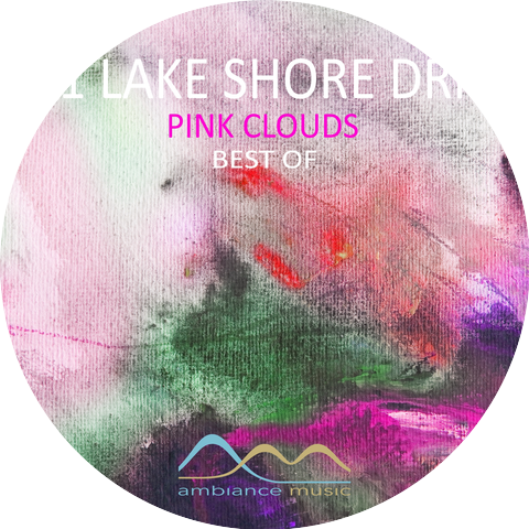 351 Lake Shore Drive