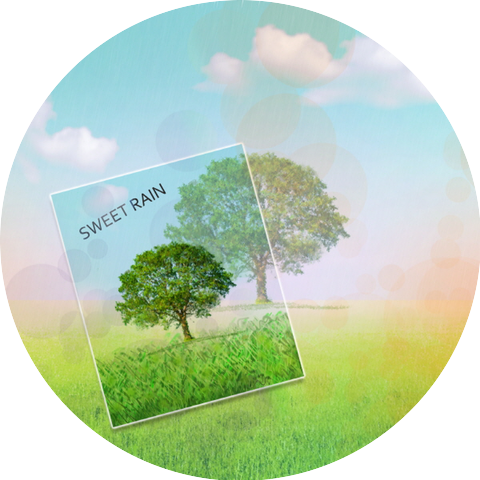 김민규 (Kim Minkyu)