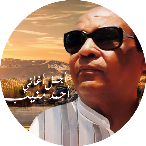 Ahmed Mounib