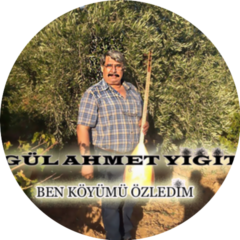Gül Ahmet Yiğit