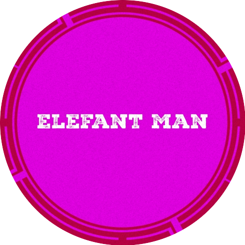 Elefant Man, Mister P & Dj Slam