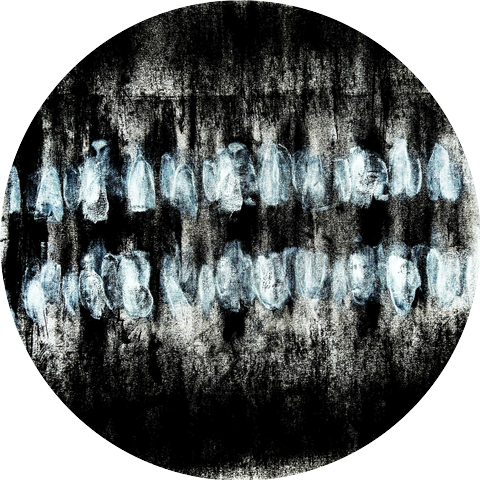 Teeth