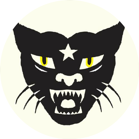 Comisario Pantera