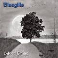 The Bluegills