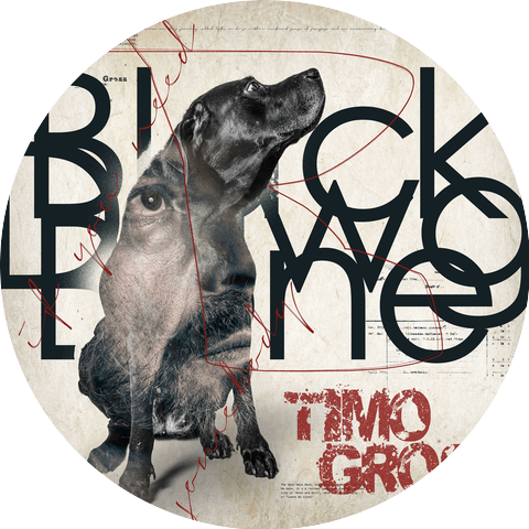 Timo Gross
