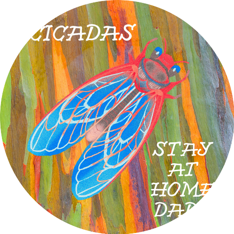 Stay At Home Dads