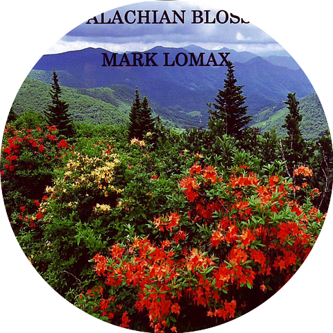 Mark Lomax
