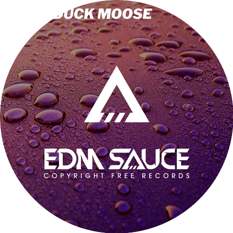 Duck Duck Moose