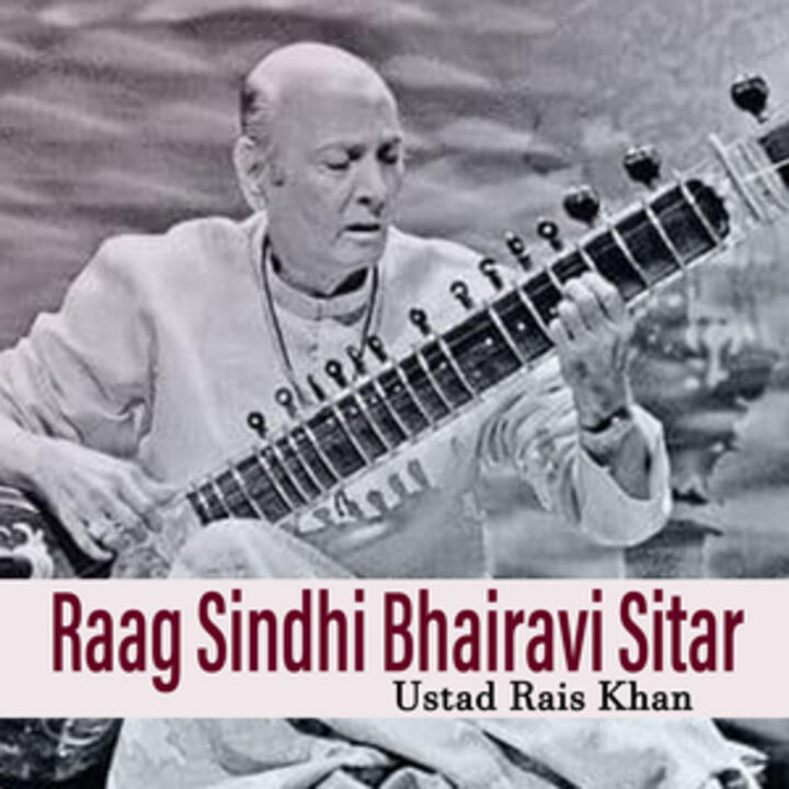 Ustad Rais Khan