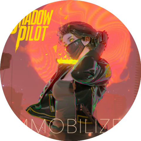 Shadow Pilot