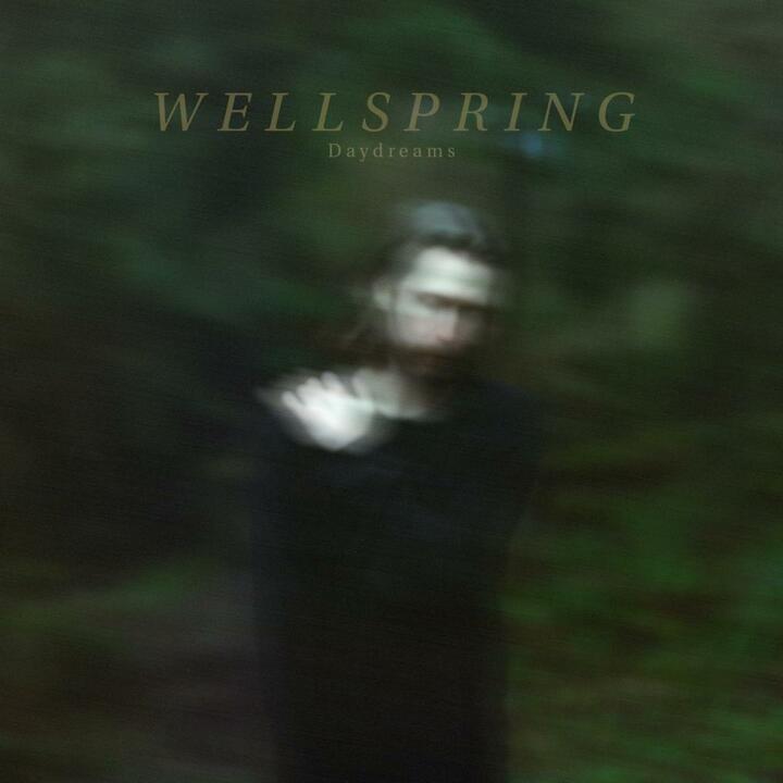The Wellspring