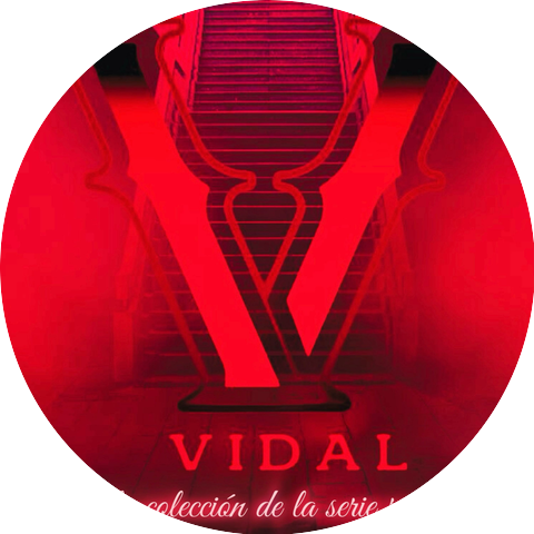 Grupo Vidal