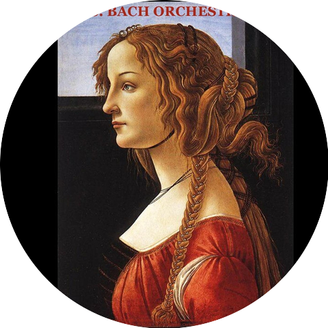 J.S. Bach Orchestra