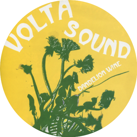 The Volta Sound