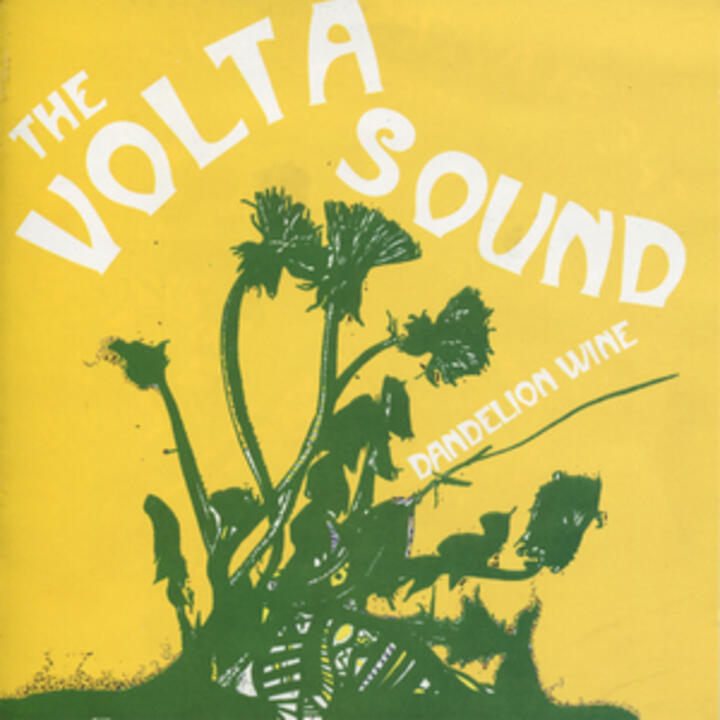 The Volta Sound