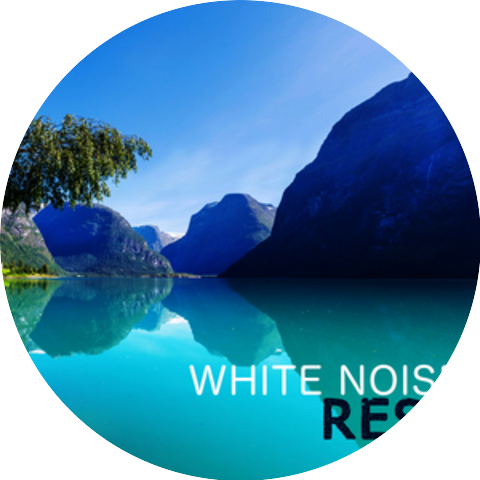 The White Noises