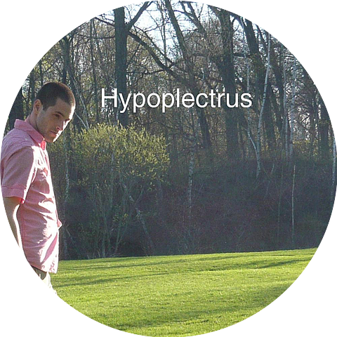 Hypoplectrus