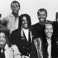 The Wailers Band