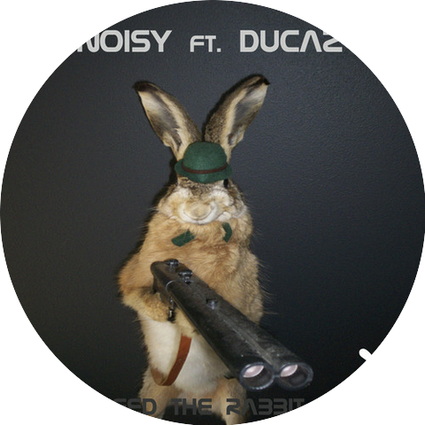 Noisy & Ducaz