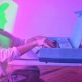 Vacationer