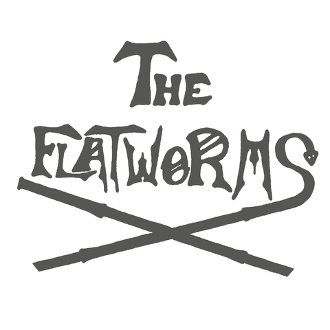 The Flatworms