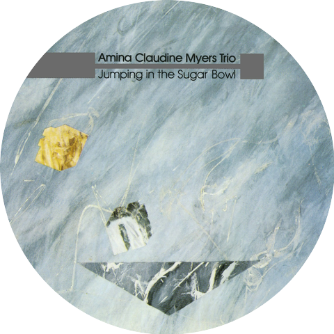 Amina Claudine Myers