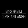 Mitch Gamble