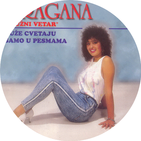 Dragana Mirkovic; Juzni Vetar
