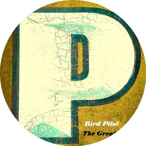 Bird Pilot