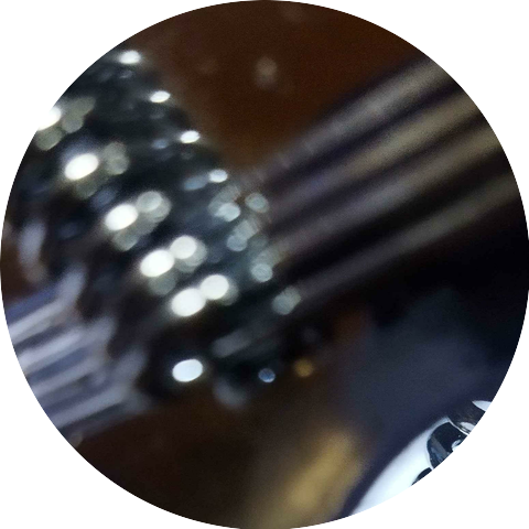 Ari