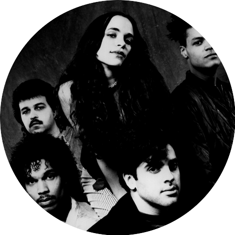 The Daou